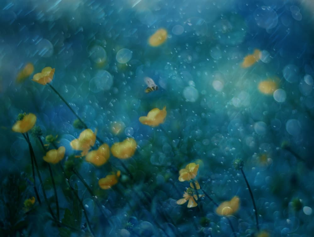 Dreamy Yellow Flowers by Delphine Devos — canvas wall art
