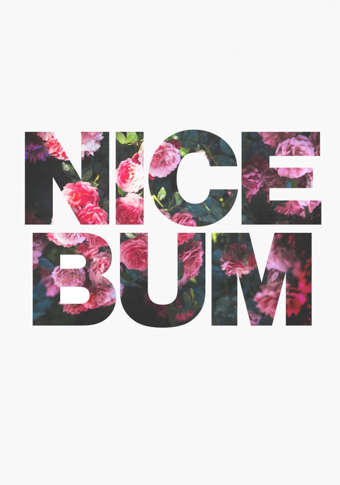 Nice Bum Roses by Sarah Manovski — canvas wall art