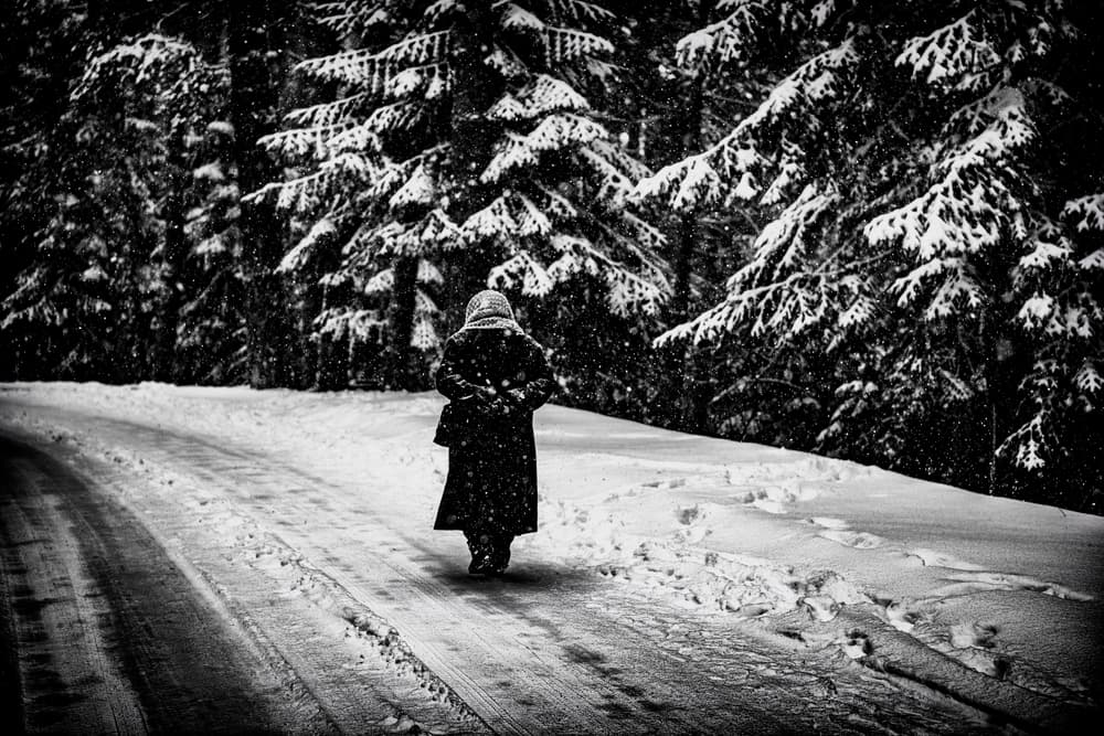 Winter Forest Walk by Ömer Ates Kızıltug — canvas wall art