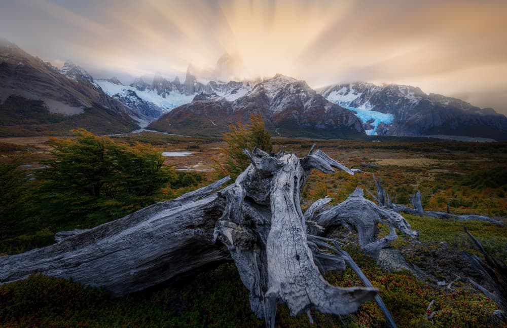 Ancient Roots Mountain Glow by YANGYING — canvas wall art