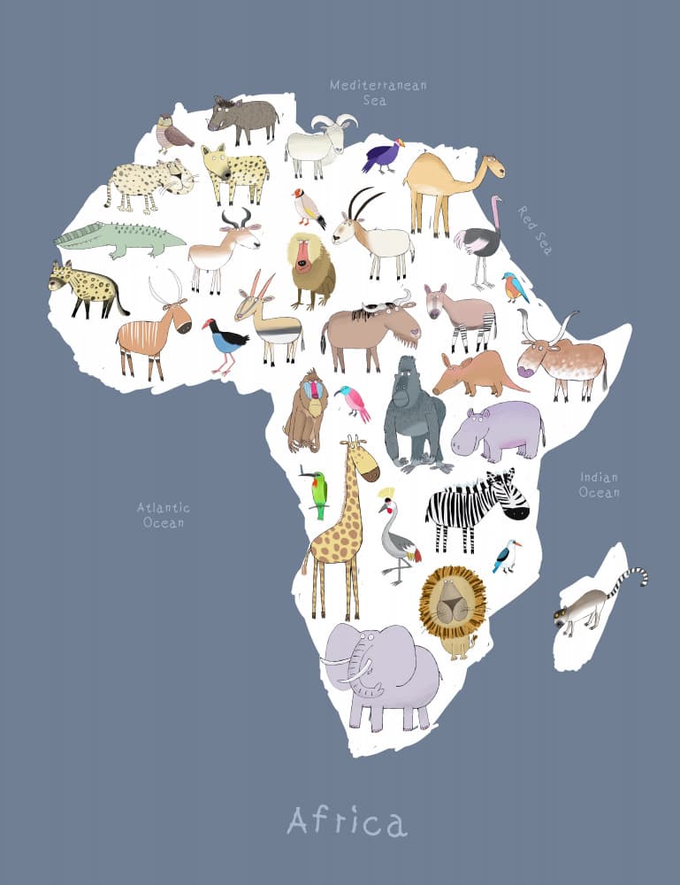Safari Animal Map by Carla Daly — canvas wall art