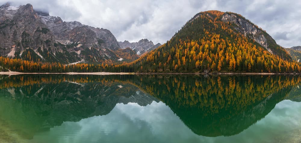 Golden Trees Mountain Lake by Ales Krivec — canvas wall art