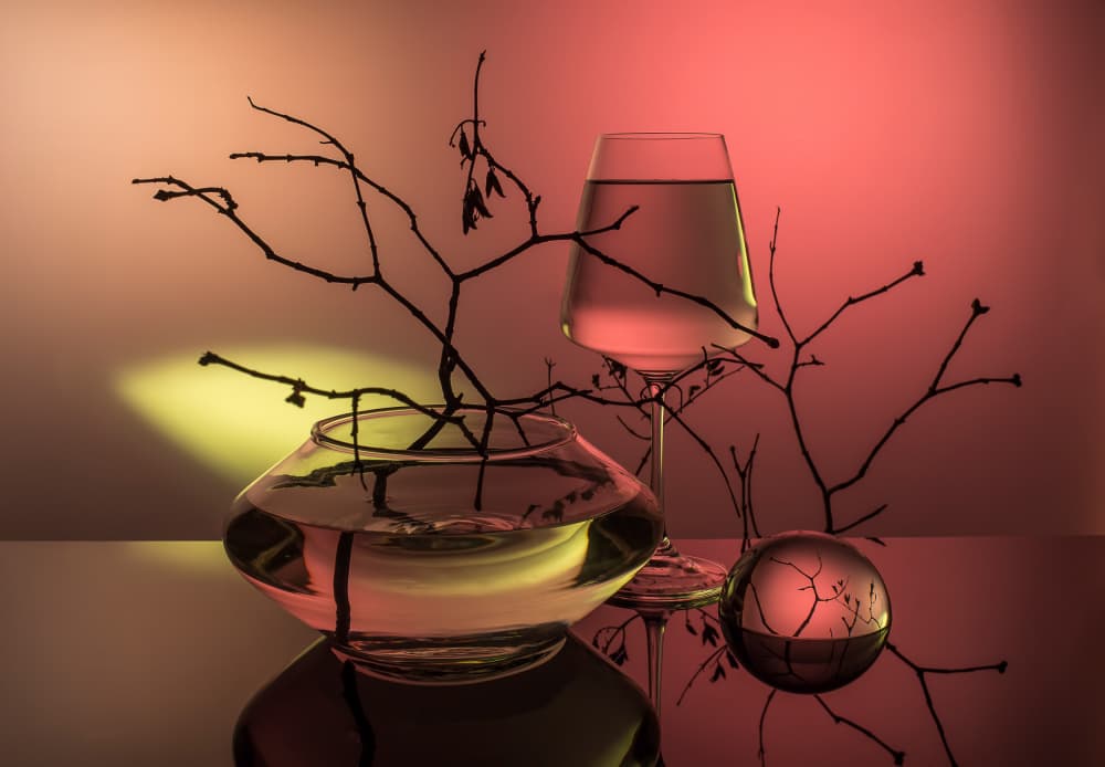 Modern Branches Reflection by Evgeniy Popov — canvas wall art