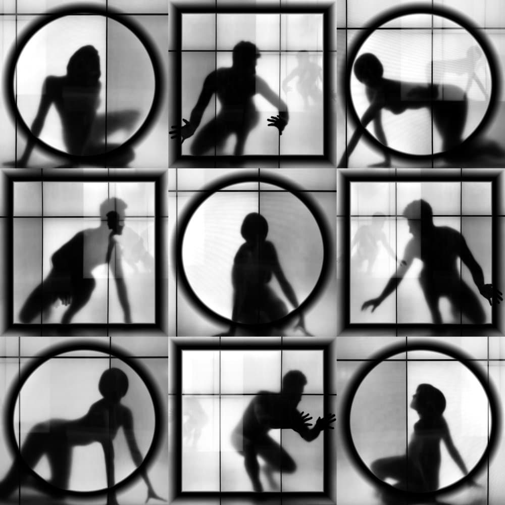 Dynamic Grid Silhouettes by Igor Shrayer — canvas wall art