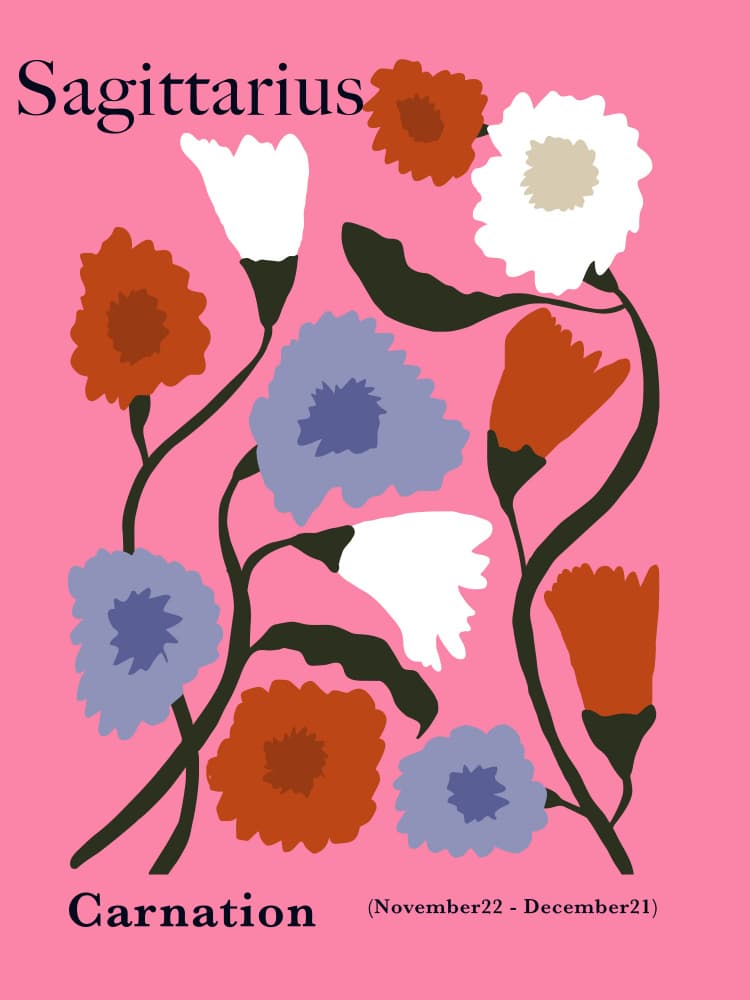 Sagittarius Carnation Blooms by Miho Art Studio — canvas wall art