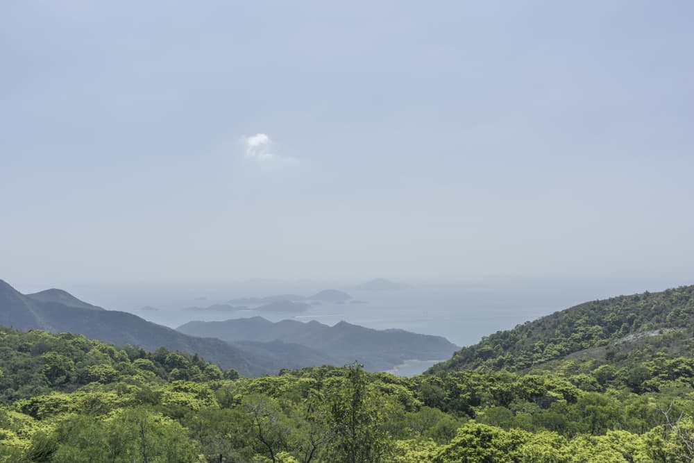 Green Mountains Ocean View by Lynann Colligan — canvas wall art