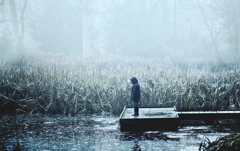 Boy On Misty Dock by Peter Davidson — canvas wall art