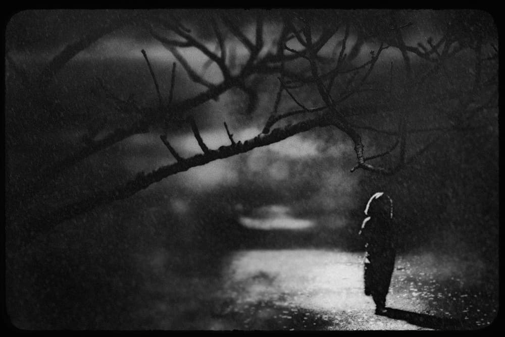 Child On Dark Path by Teruhiko Tsuchida — canvas wall art