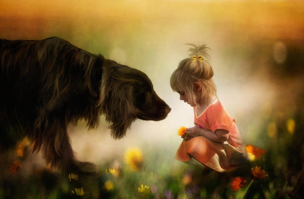 Sweet Girl Dog Love by Charlaine Gerber — canvas wall art