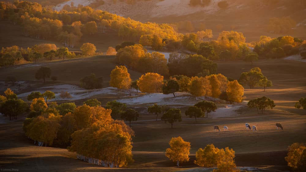 Golden Autumn Hills by Johnny Zhang — canvas wall art