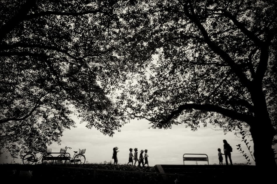 Peaceful Park Silhouettes by Kouji Tomihisa — canvas wall art