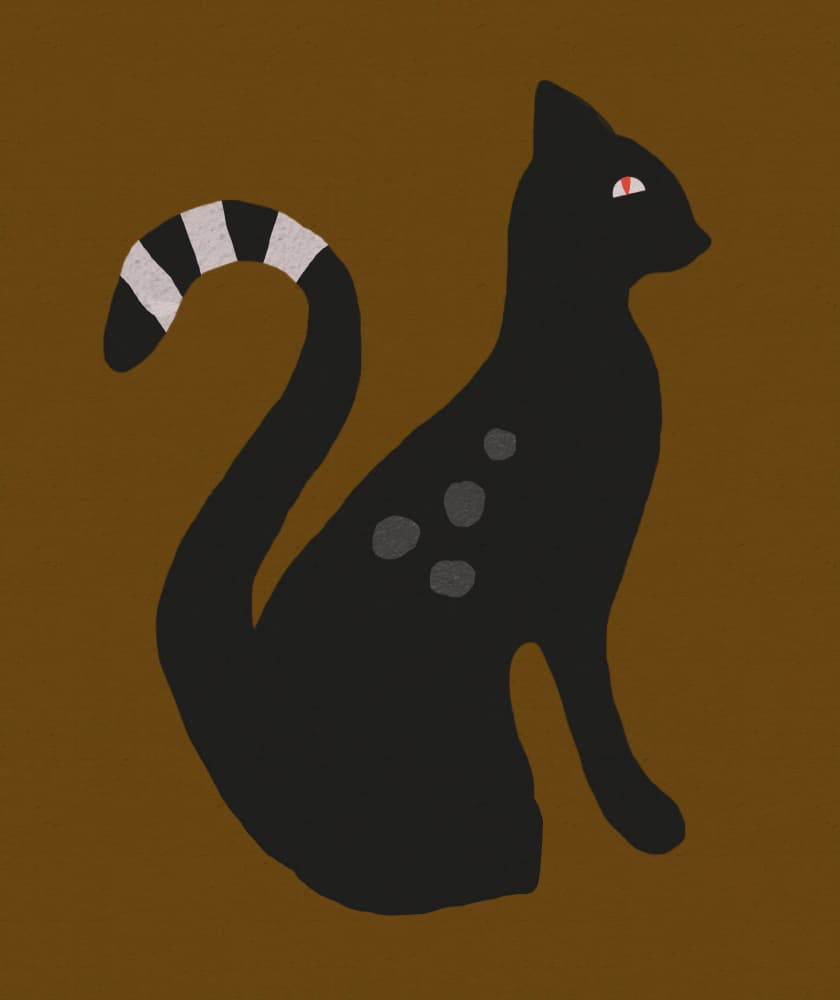 Elegant Spotted Cat by Josie George — canvas wall art