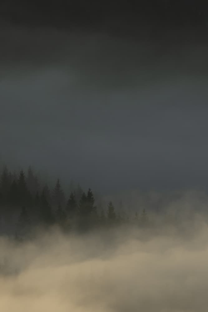 Foggy Forest Peaks by Sebastian Mastahac — canvas wall art