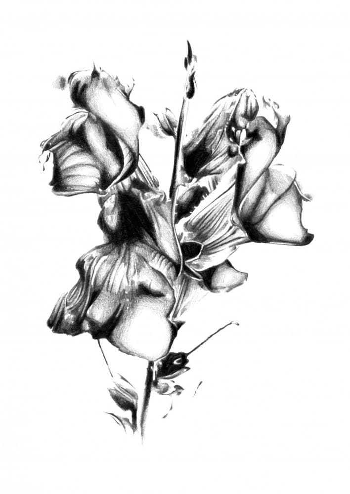 Elegant Withered Bloom by Kulik — canvas wall art