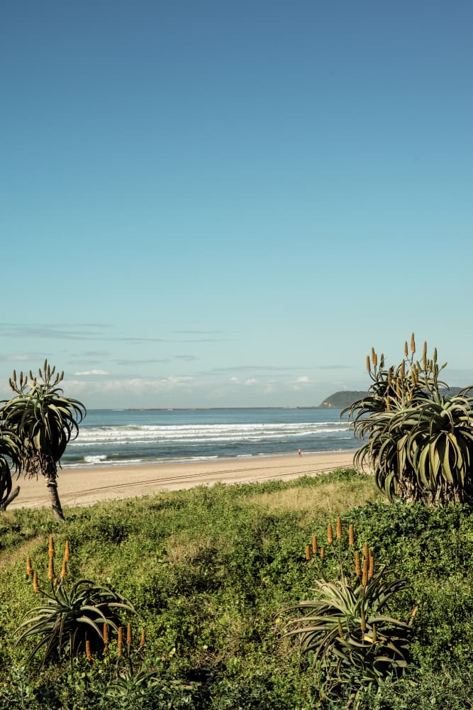 Bloom Tide by Shot by Clint — canvas wall art