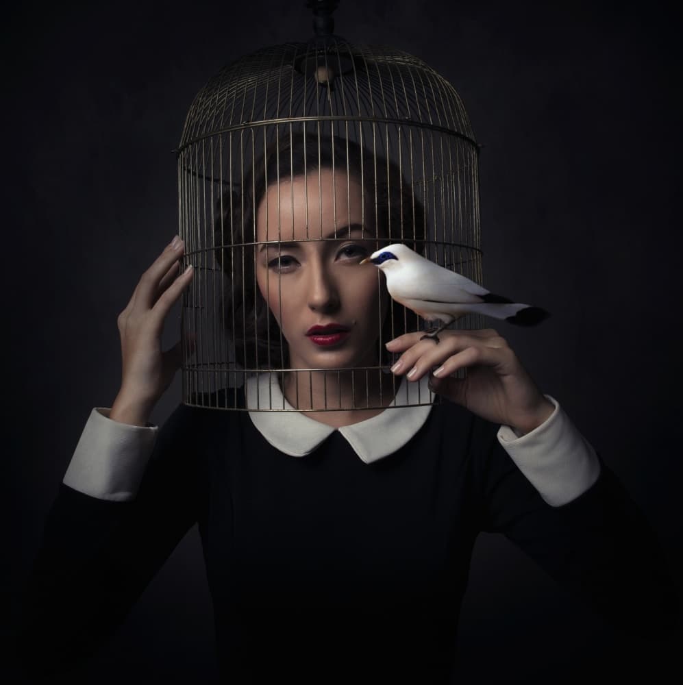Woman Gold Birdcage Bird by hardibudi — canvas wall art