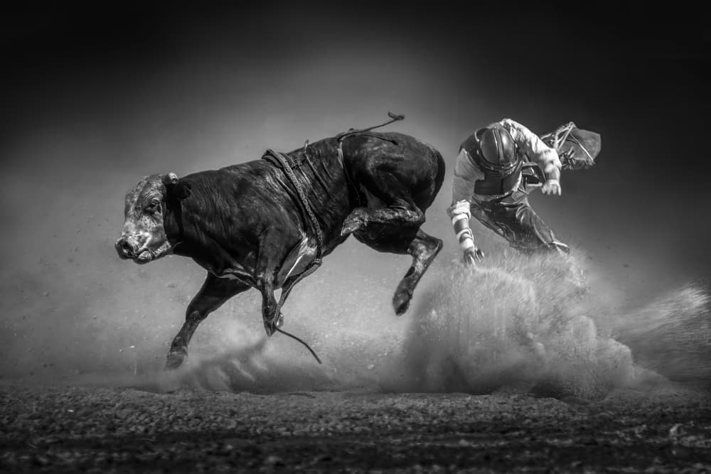 Fast and Furious by Irene Wu — canvas wall art
