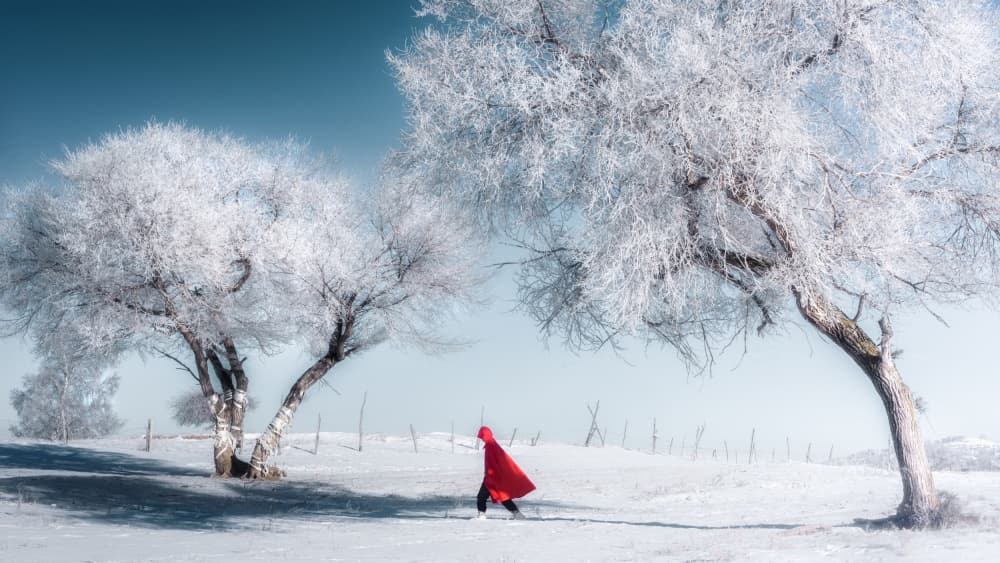 Frosty Trees Red Figure by Yuan Cui — canvas wall art