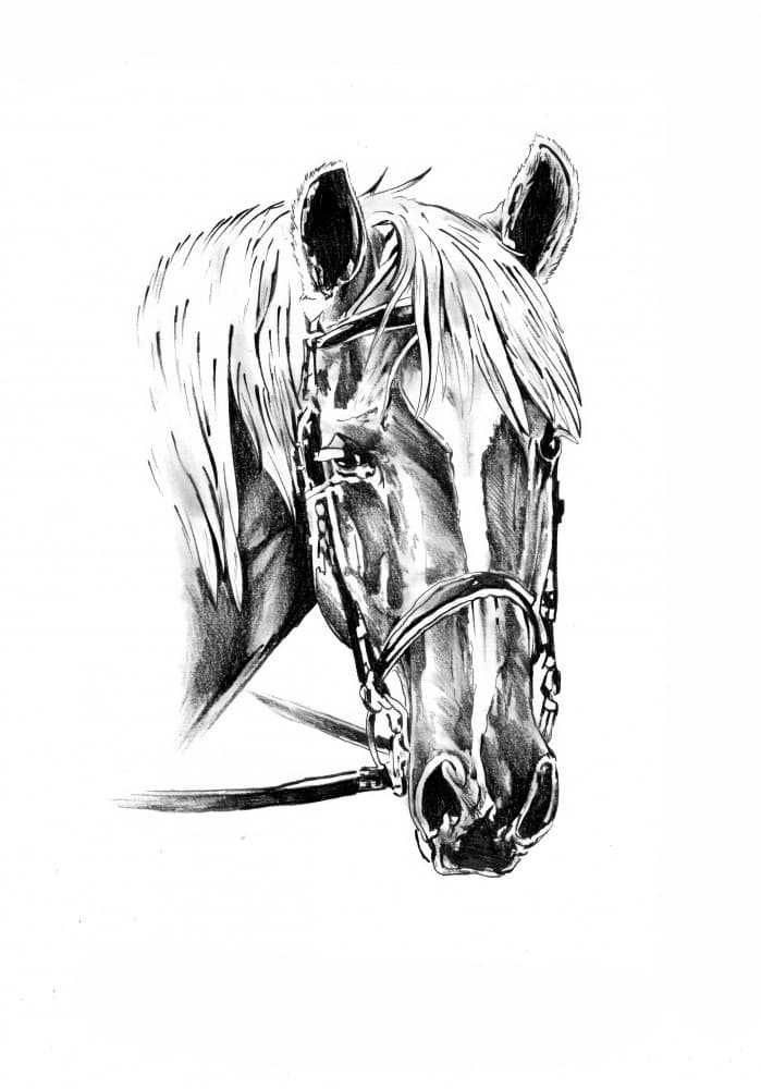 Noble Horse Portrait by Kulik — canvas wall art