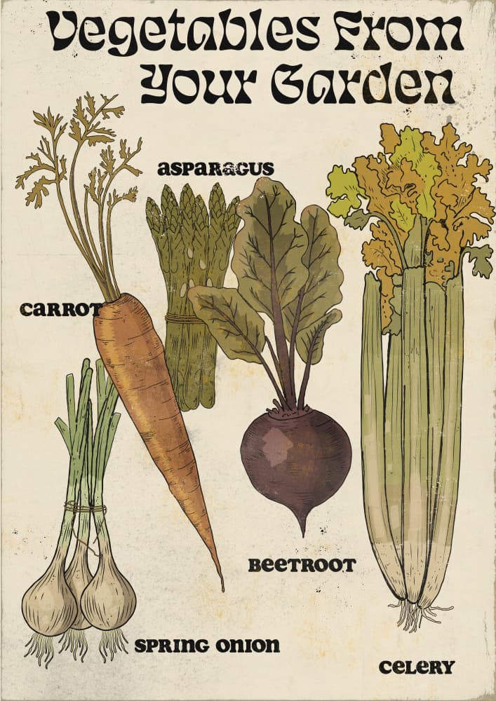 Fresh Garden Vegetables by Nicholas — canvas wall art