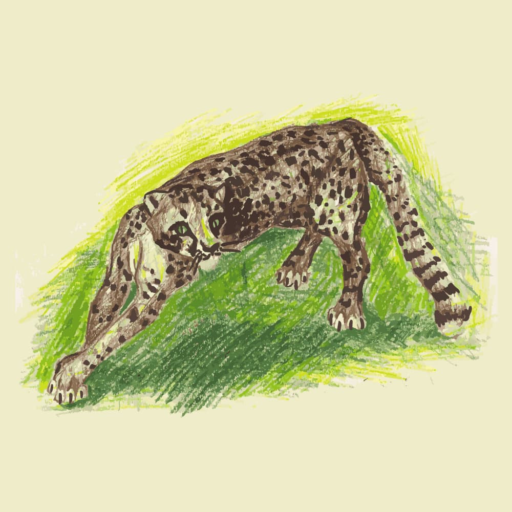 Curious Spotted Cat by Marika Barsrsind β canvas wall art