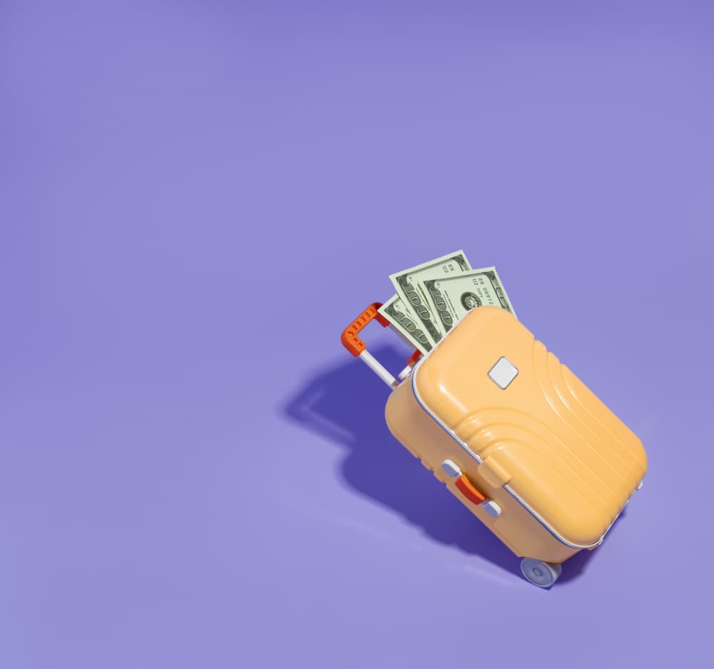 Travel Cash Suitcase by Julia Ramiro — canvas wall art