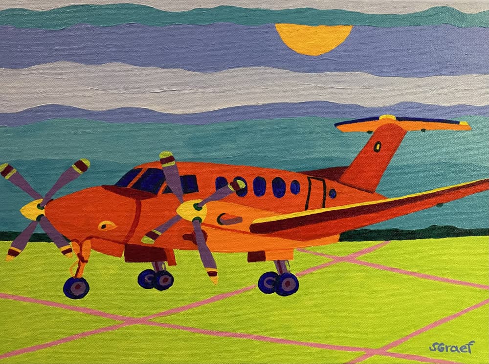 Red Airplane by Sue Graef — canvas wall art