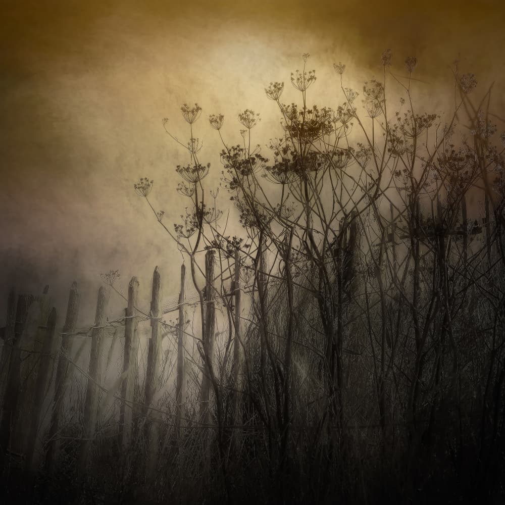 The old fence by Nel Talen — canvas wall art