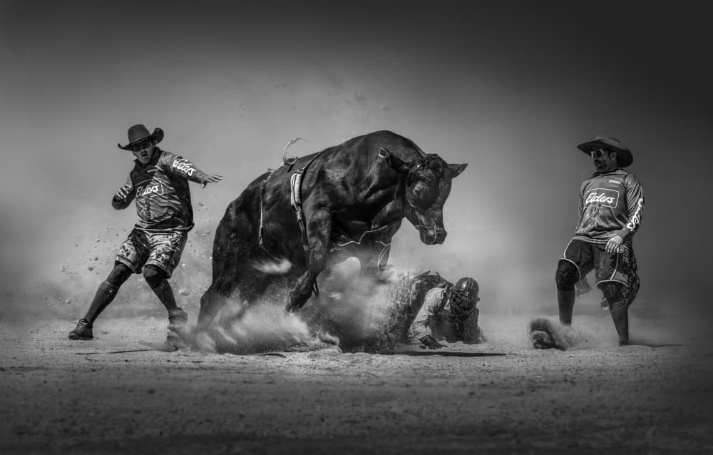 Intense Bull Riding by Irene Wu — canvas wall art