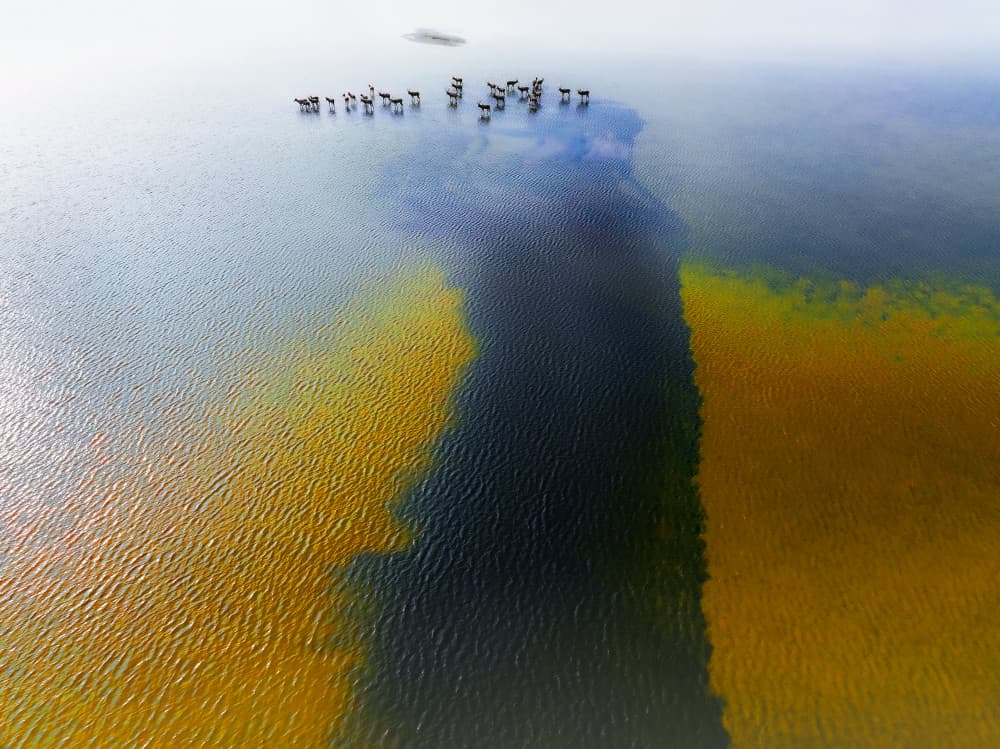 Colorful Water Flow by Songlin Xu — canvas wall art