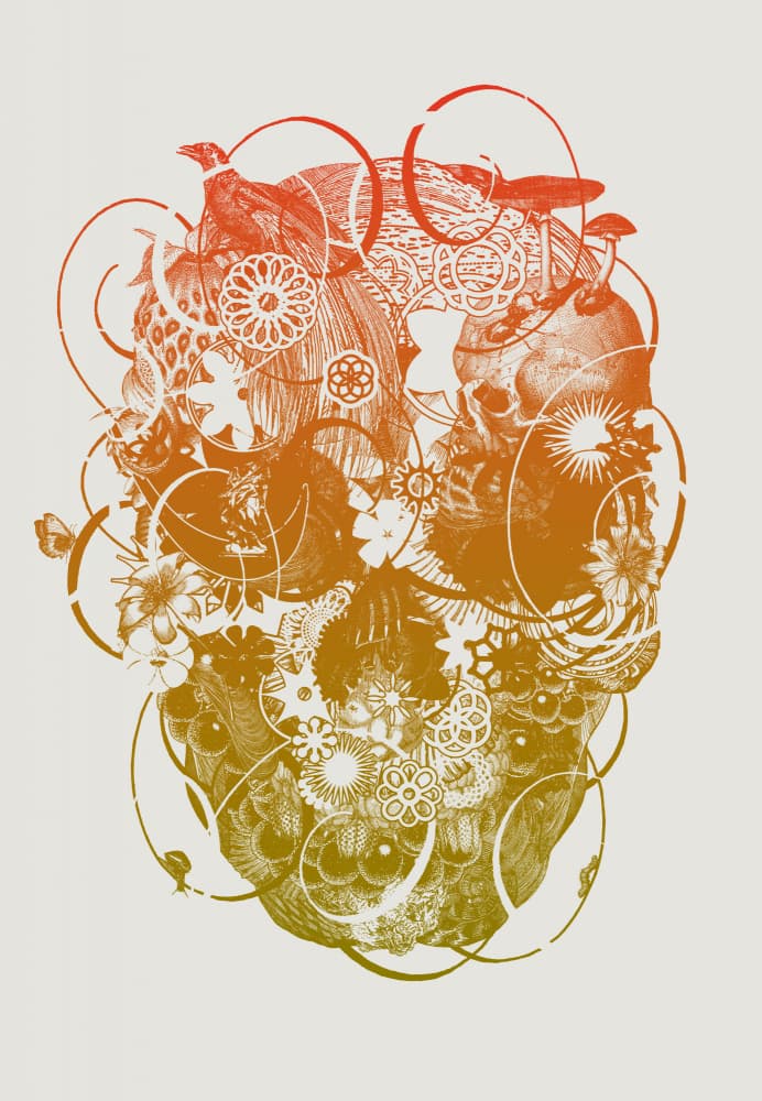 Vibrant Organic Skull by Jaco Putker — canvas wall art