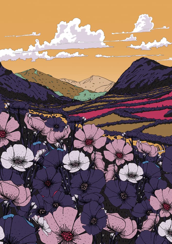 Colorful Mountain Valley by Nicholas — canvas wall art