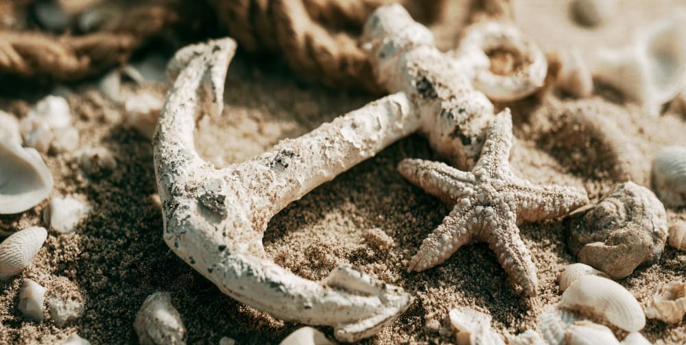 Beach Anchor Starfish by Treechild — canvas wall art