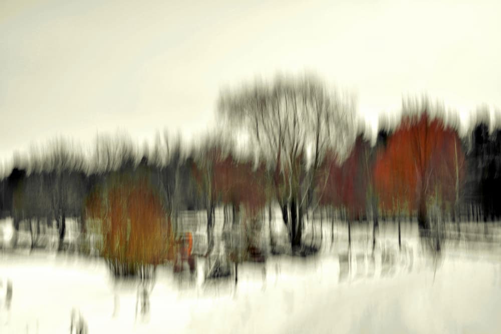 Abstract Winter Forest by Christina Sillen — canvas wall art