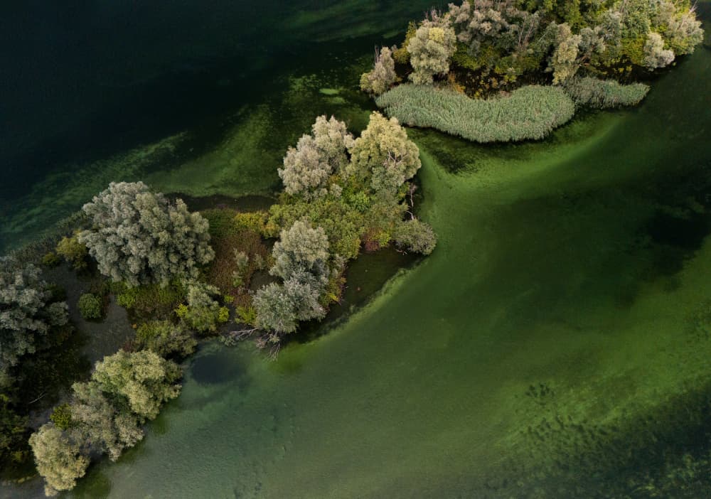 Lush Green River Islands by Streiff Marcel — canvas wall art