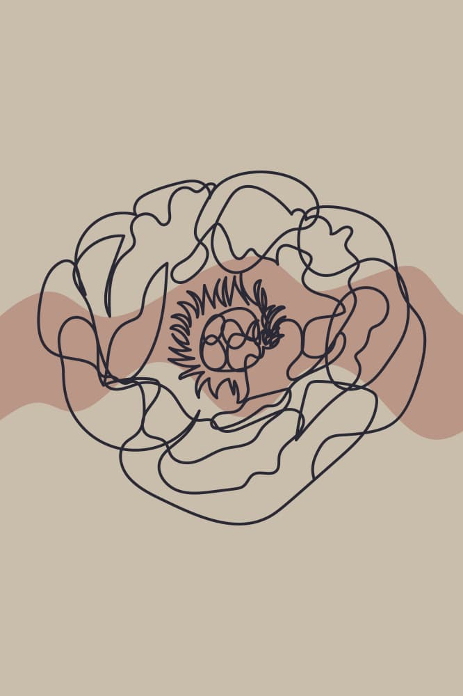 Soft Botanical Lines by Anna Rose — canvas wall art