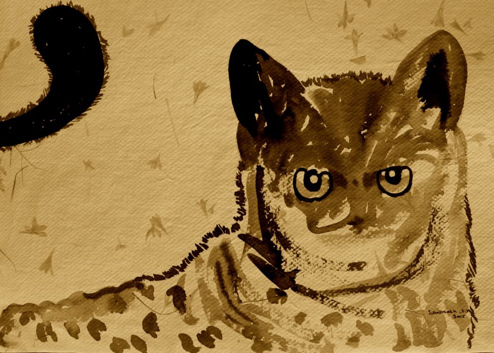 Wild Cat Gaze by Santhosh ch — canvas wall art