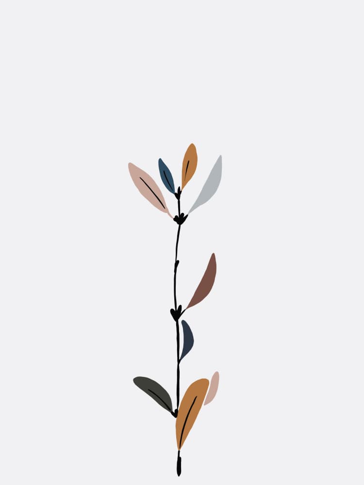 Elegant Plant Drawing by Stephanie Klatt — canvas wall art