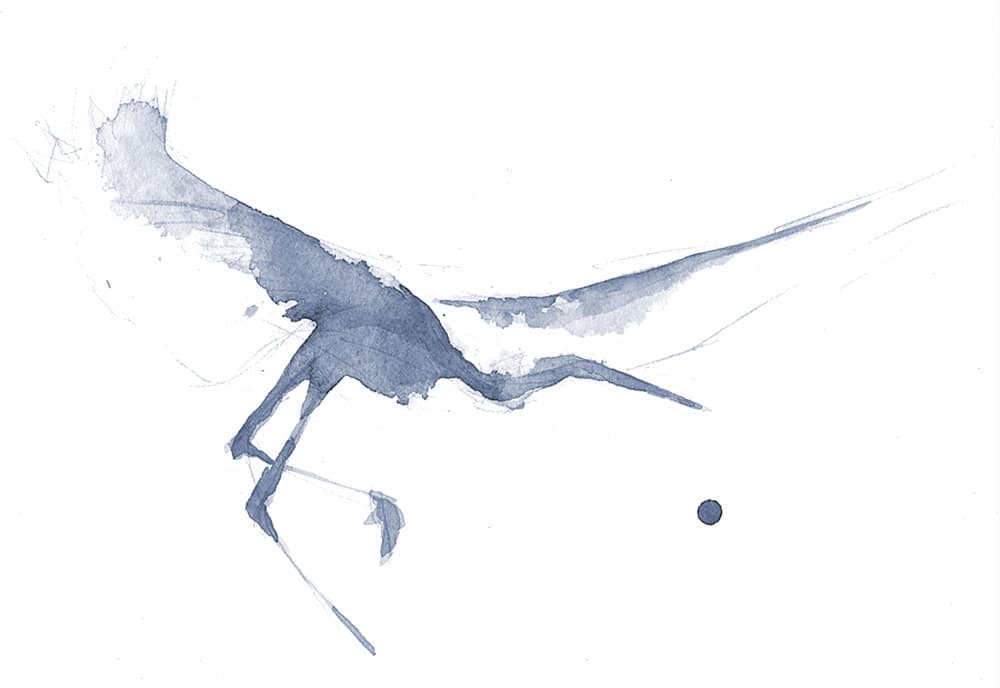 Graceful Watercolor Heron by RodMacIver — canvas wall art