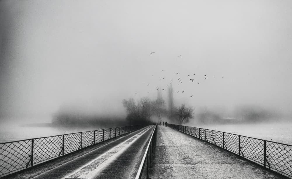 Misty Bridge Path by Uschi Hermann — canvas wall art