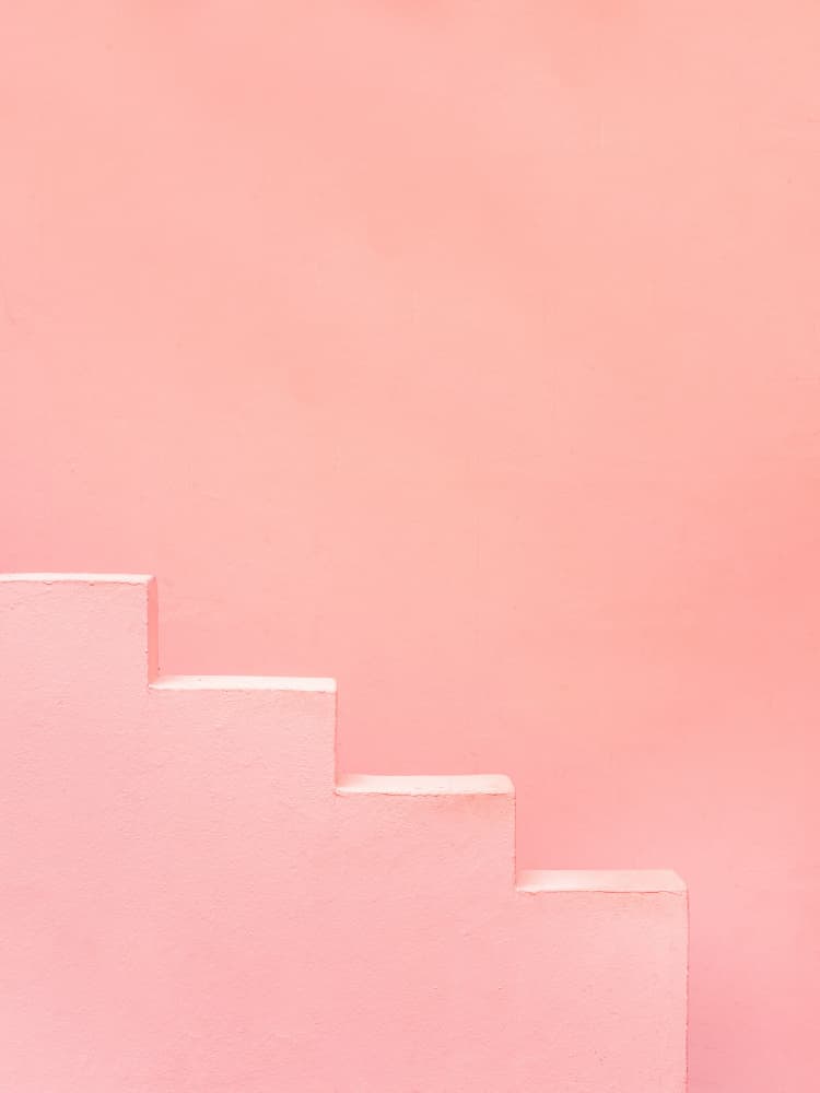 Muralla Roja in Pink II by Raisa Zwart — canvas wall art