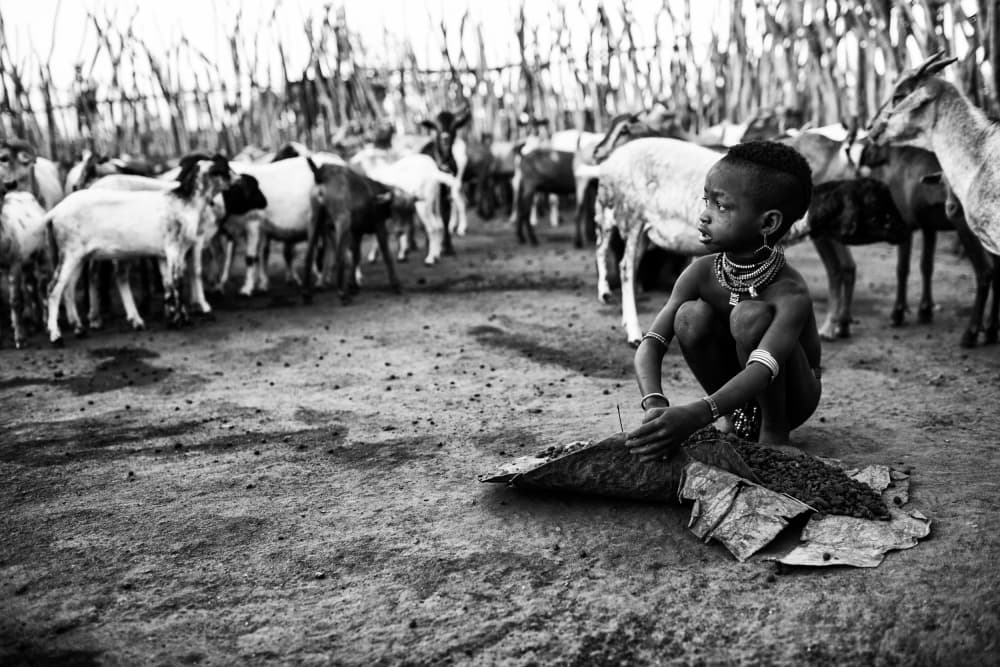 Tribal Child And Goats by Goran Jovic — canvas wall art