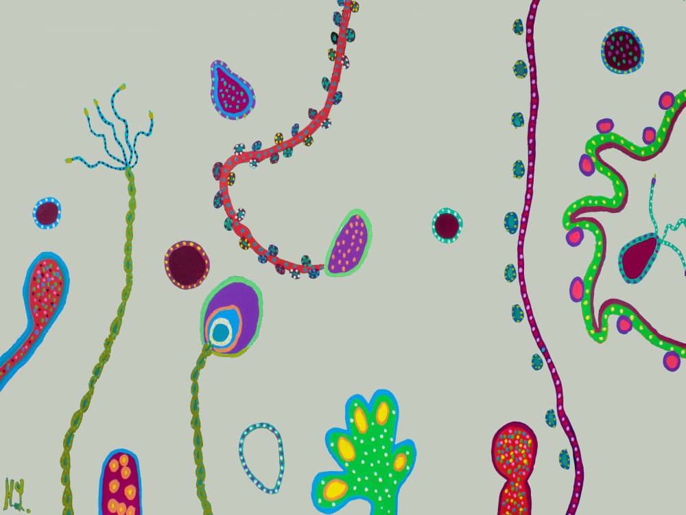 Whimsical Organic Shapes by Helen Joynson — canvas wall art