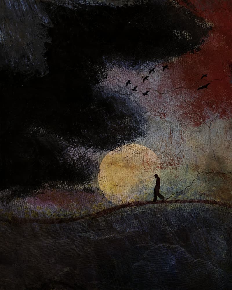 Dark Night Golden Moon by Shenshen Dou — canvas wall art