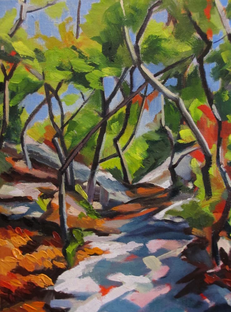 Sunlit Woodland Walk by Maxine Shore — canvas wall art