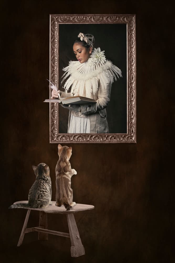Elegant Lady Curious Cats by Carola Kayen-Mouthaan — canvas wall art