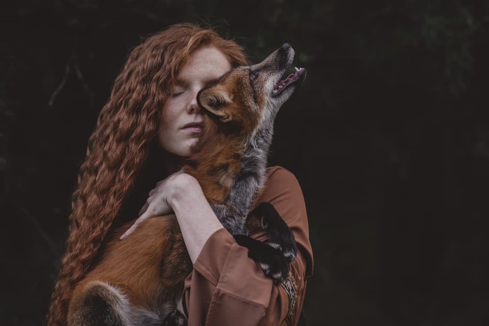 Redhead Fox Embrace by Olga Barantseva — canvas wall art