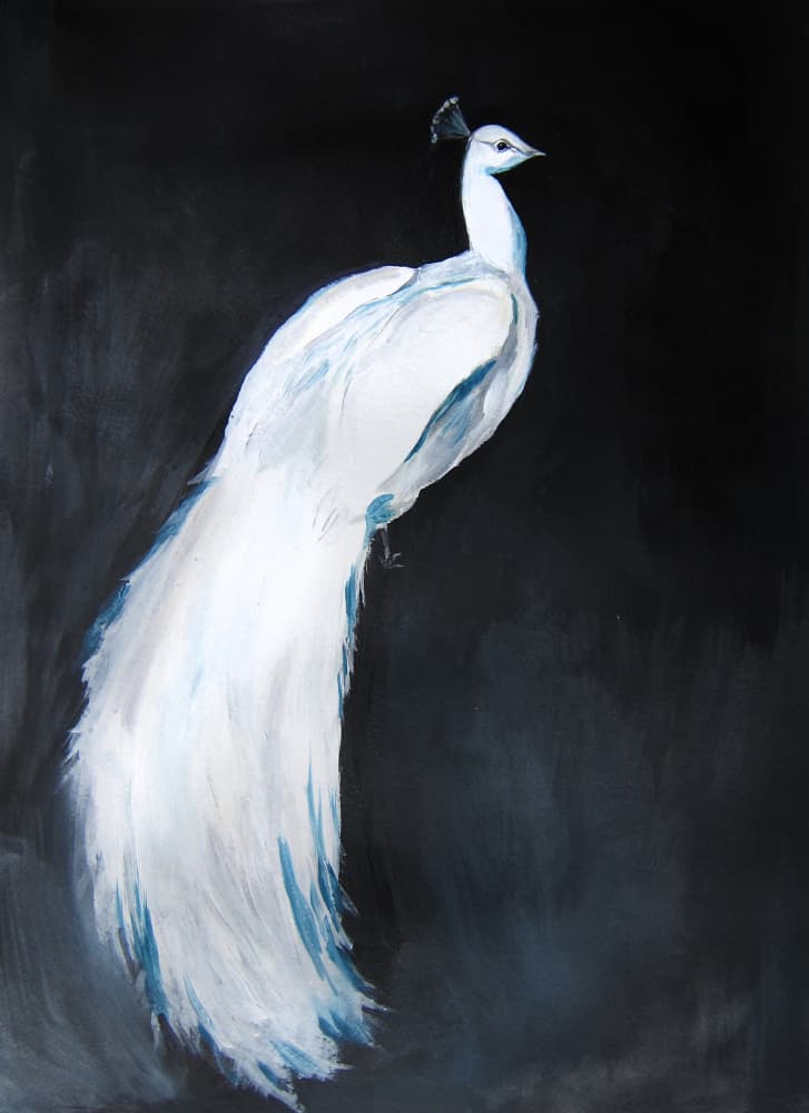 Elegant White Peacock by Christine Lindstrom — canvas wall art