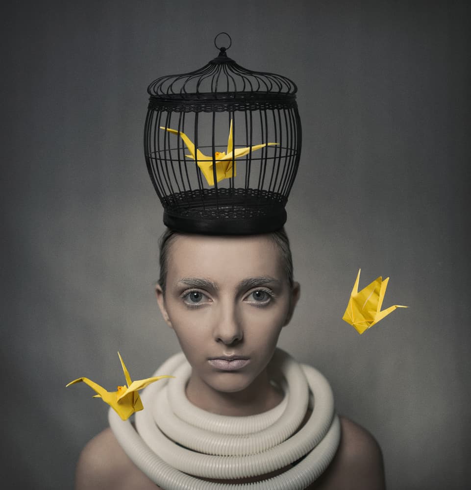Caged Paper Crane by hardibudi — canvas wall art