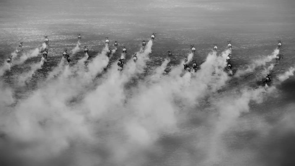 Riders in Smoke Trails by Phillip Chang — canvas wall art